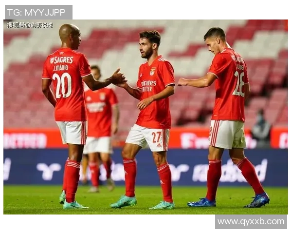 新西兰与葡萄牙足球阵容全面解析及比赛前瞻分析