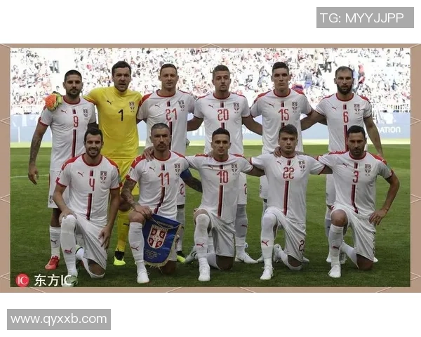 香港站激战塞尔维亚与日本两强对决精彩纷呈引发球迷热议