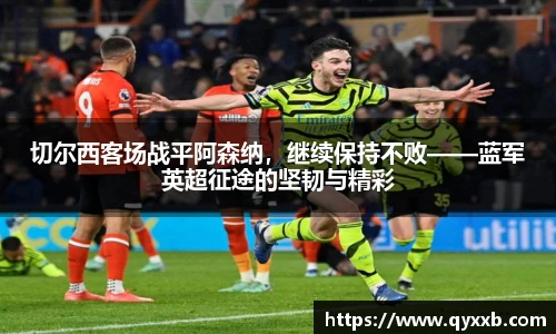 智博19