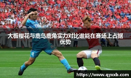 智博19有限公司