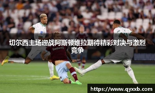 智博19